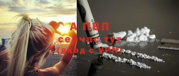 ГАЛЛЮЦИНОГЕННЫЕ ГРИБЫ Иннополис