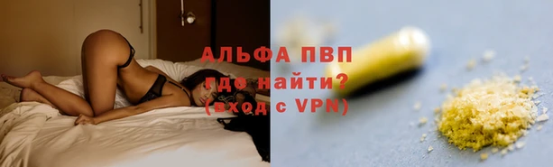 ГАЛЛЮЦИНОГЕННЫЕ ГРИБЫ Иннополис