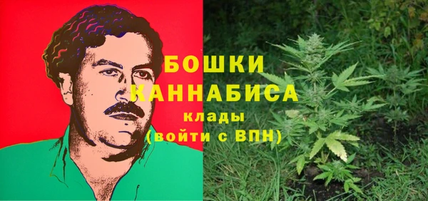 ГАЛЛЮЦИНОГЕННЫЕ ГРИБЫ Иннополис
