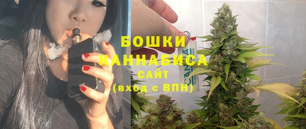 ГАЛЛЮЦИНОГЕННЫЕ ГРИБЫ Иннополис
