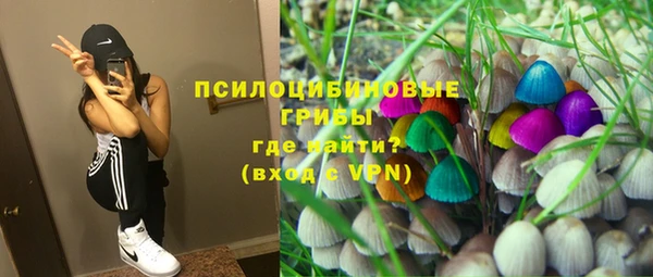 ГАЛЛЮЦИНОГЕННЫЕ ГРИБЫ Иннополис