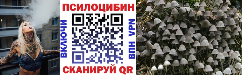 Купить закладки  Вихоревка  Псилоцибиновые грибы мухоморы 