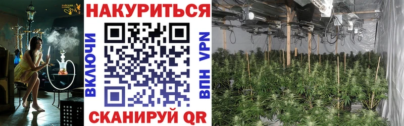 Купить закладки  Вихоревка  Конопля OG Kush 